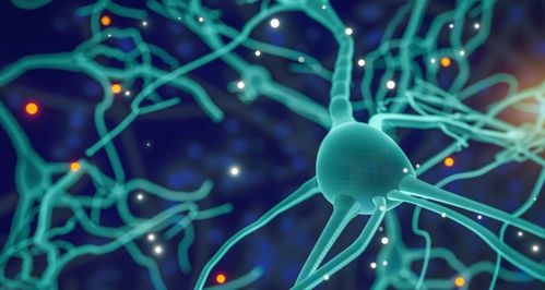 專訪再生生物 像預防疾病一樣抗衰，AI制藥與細胞技術重塑抗衰老未來